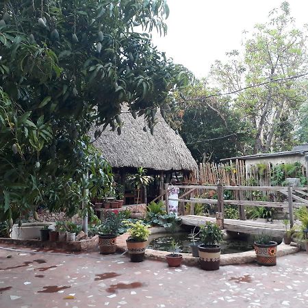 El Chac Mool Bed & Breakfast Santa Elena Luaran gambar