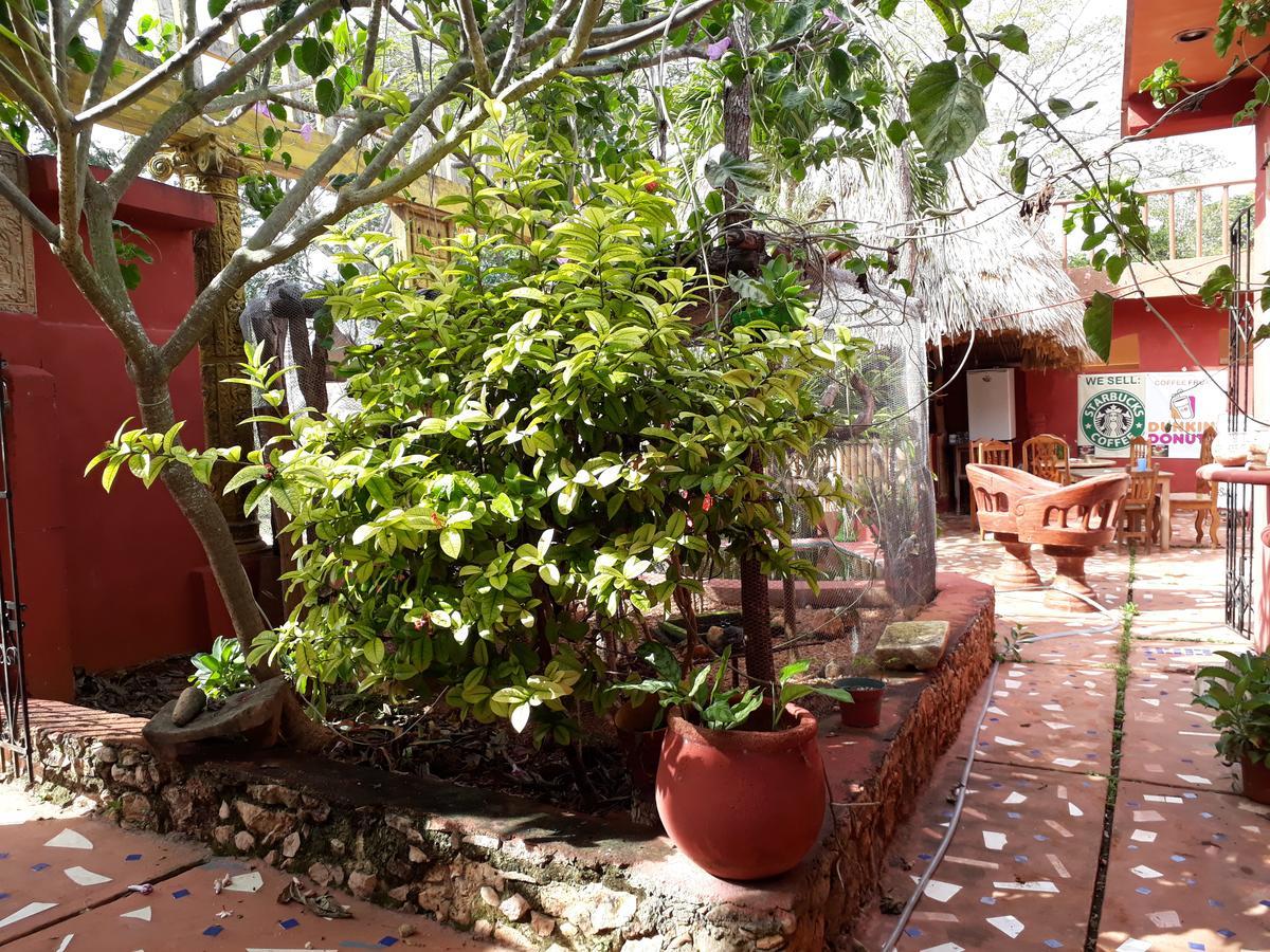 El Chac Mool Bed & Breakfast Santa Elena Luaran gambar
