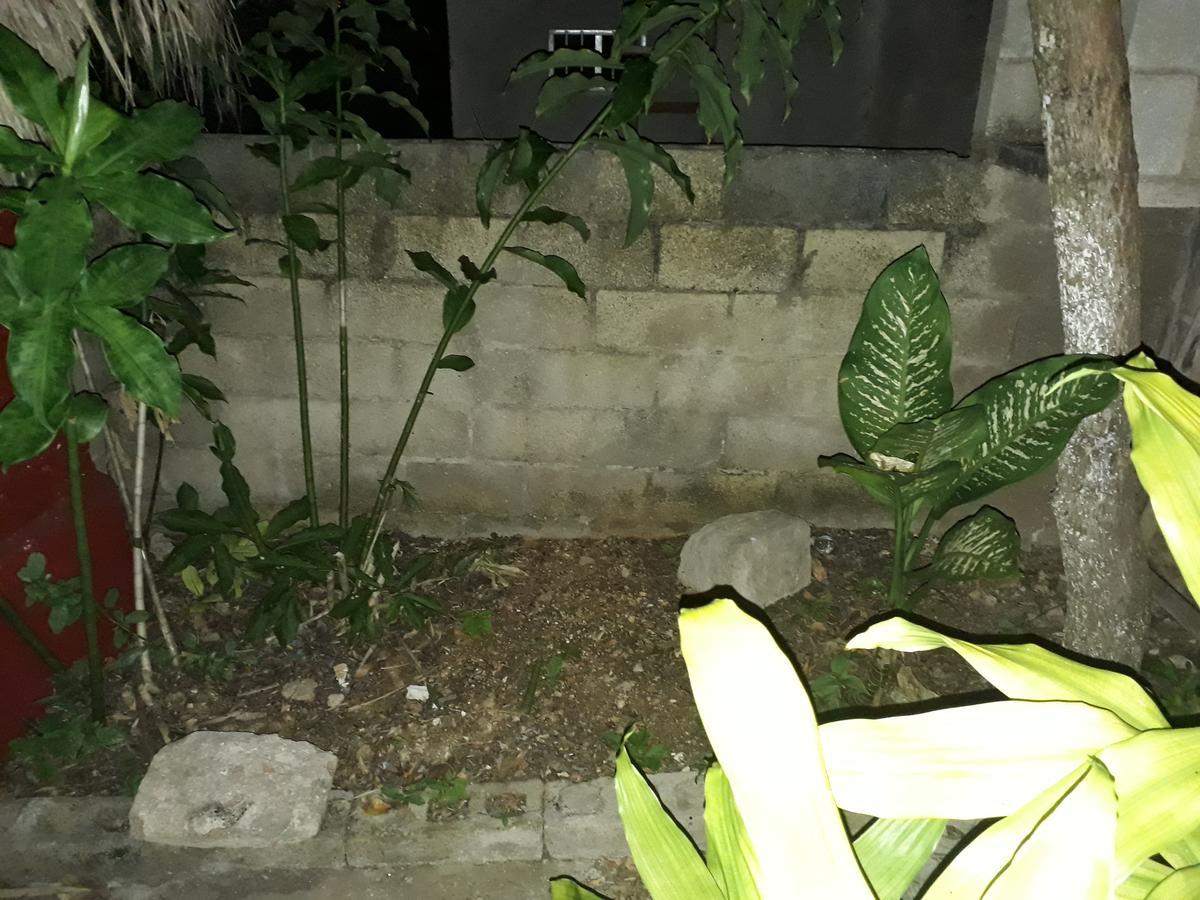 El Chac Mool Bed & Breakfast Santa Elena Luaran gambar