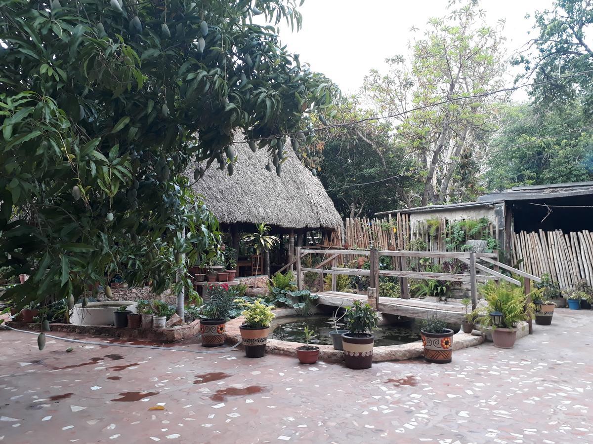 El Chac Mool Bed & Breakfast Santa Elena Luaran gambar