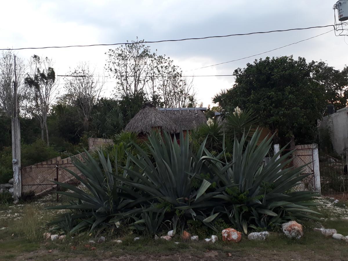 El Chac Mool Bed & Breakfast Santa Elena Luaran gambar